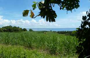 vue mer, sarde, capesterre