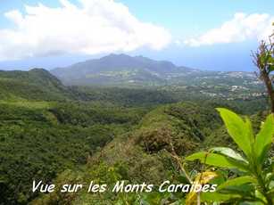 vue monts caraibes , nez cassé, st claude, basse terre, guadeloupe