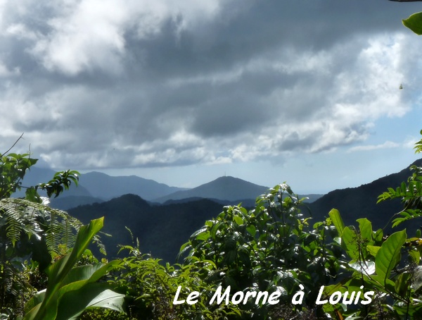 vue morne à louis, tete allègre , basse terre nord, guadeloupe