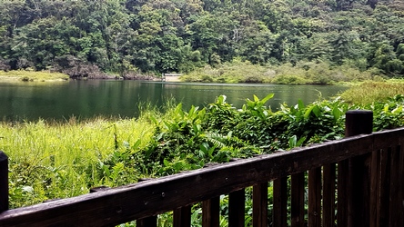 depuis la passerelle Grand etang Guadeloupe