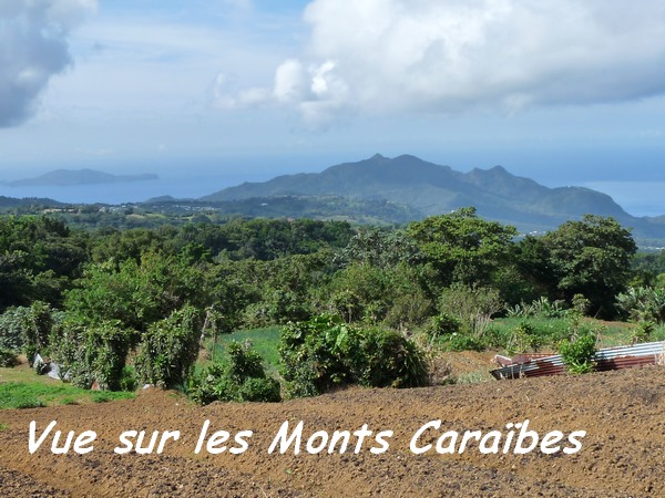 Vue Monts Carabes et les saintes, Papaye L