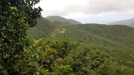 vue route mamelle PB