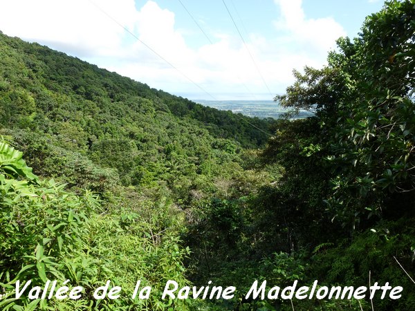 vallée rivière Madelonnette, Contrebandiers, Guadeloupe