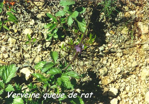 balade rivière audoin L