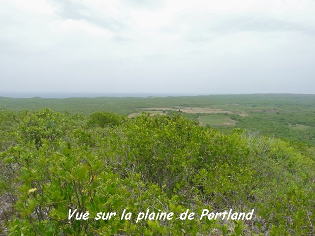 barre de cadoue large
